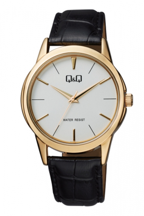 Чоловічий годинник Q&Q Q860J101Y