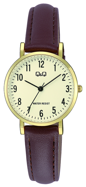 Женские часы Q&Q C66A-001PY