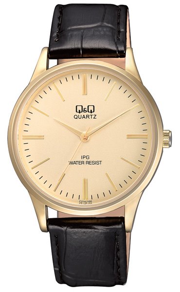 Чоловічий годинник Q&Q C214J100Y