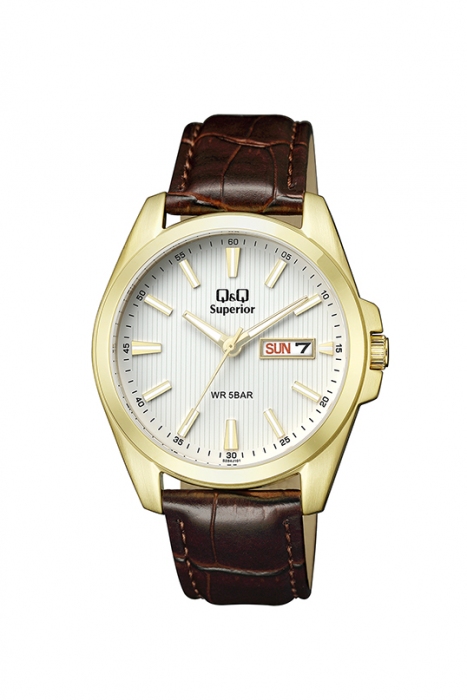Чоловічий годинник Q&Q S284J101Y