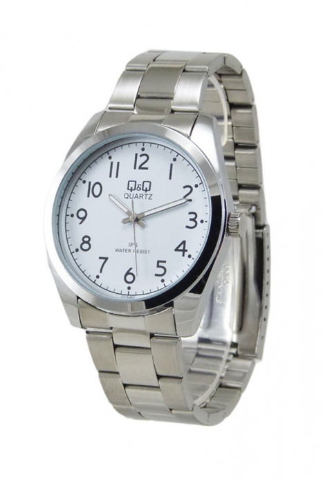 Чоловічий годинник Q&Q C216J800Y
