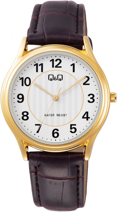 Мужские часы Q&Q C48A-003PY