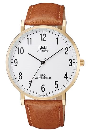 Мужские часы Q&Q QZ02J104Y