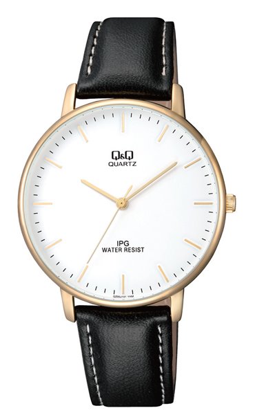 Мужские часы Q&Q QZ00J101Y