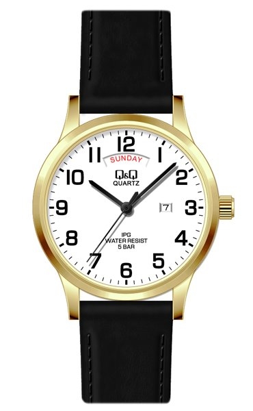 Мужские часы Q&Q CD04J809Y