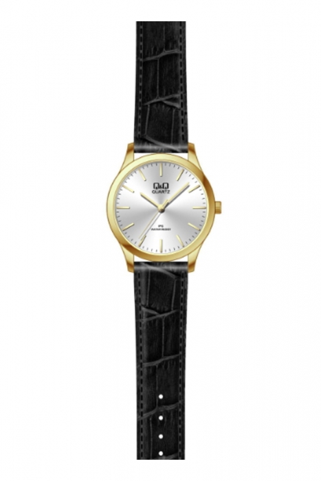 Мужские часы Q&Q C152J101Y