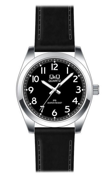 Чоловічий годинник Q&Q C216J804Y